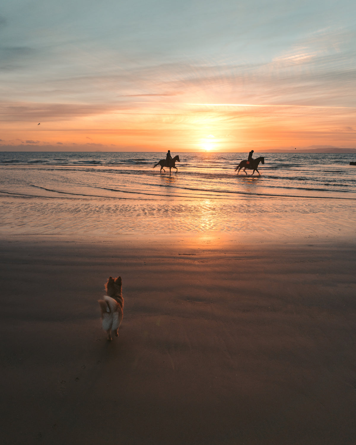 Tide.lamp coastal lifestyle image